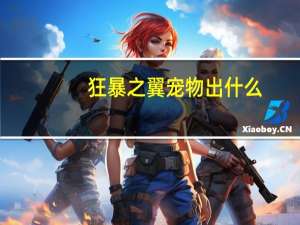 狂暴之翼宠物出什么