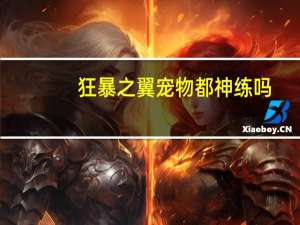 狂暴之翼宠物都神练吗