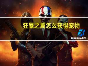 狂暴之翼怎么获得宠物