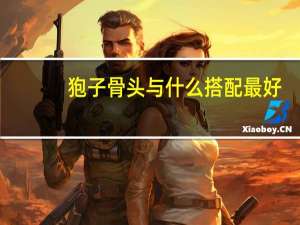 狍子骨头与什么搭配最好（狍子肉）