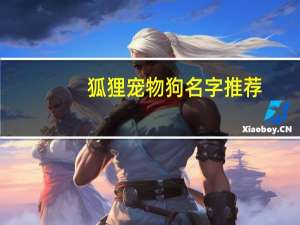 狐狸宠物狗名字推荐