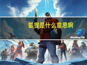 狐狸是什么意思啊