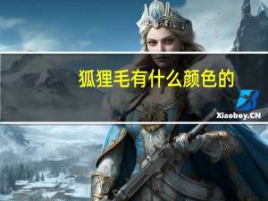 狐狸毛有什么颜色的