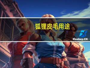 狐狸皮毛用途