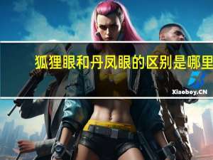 狐狸眼和丹凤眼的区别是哪里（狐狸眼和丹凤眼的区别）