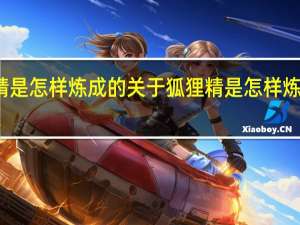 狐狸精是怎样炼成的 关于狐狸精是怎样炼成的的介绍