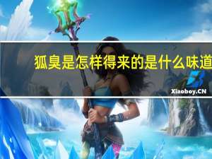 狐臭是怎样得来的是什么味道（狐臭是怎样得来的）
