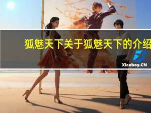狐魅天下 关于狐魅天下的介绍