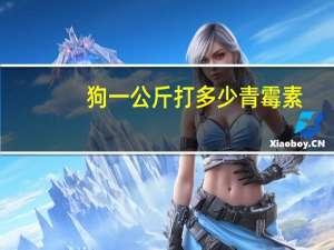 狗一公斤打多少青霉素
