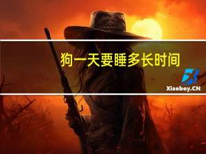 狗一天要睡多长时间