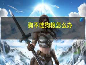 狗不吃狗粮怎么办