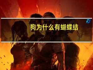 狗为什么有蝴蝶结（狗蝴蝶结进入的感觉）
