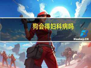 狗会得妇科病吗