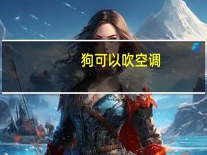 狗可以吹空调