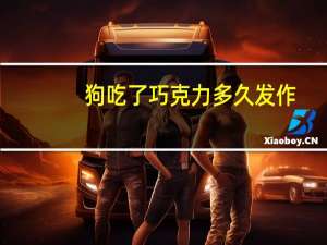 狗吃了巧克力多久发作