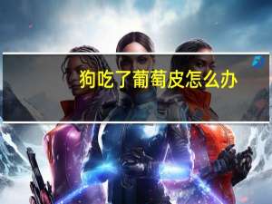 狗吃了葡萄皮怎么办