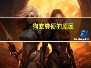 狗吃粪便的原因（狗食粪症）