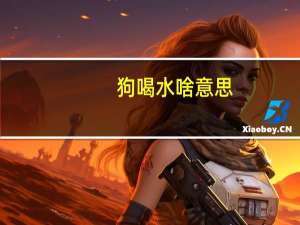 狗喝水啥意思