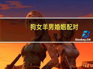 狗女羊男婚姻配对
