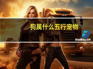 狗属什么五行宠物