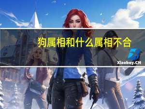 狗属相和什么属相不合