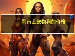 狗市上宠物狗的价格