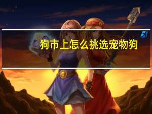 狗市上怎么挑选宠物狗