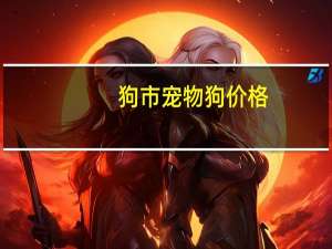 狗市宠物狗价格