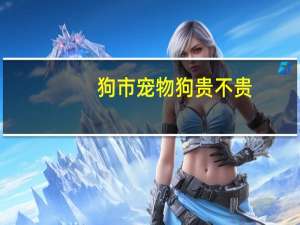 狗市宠物狗贵不贵