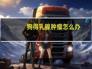 狗得乳腺肿瘤怎么办