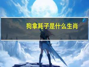 狗拿耗子是什么生肖（狗拿耗子王天下是什么生肖）