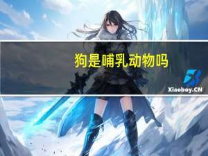 狗是哺乳动物吗