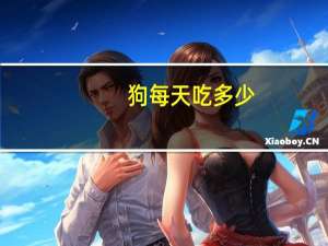 狗每天吃多少