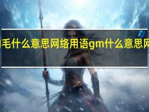 狗毛什么意思网络用语 gm什么意思网络用语