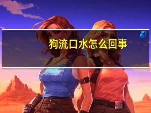 狗流口水怎么回事