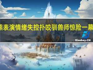 狗熊表演情绪失控扑咬驯兽师 惊险一幕太吓人了
