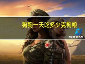 狗狗一天吃多少克狗粮