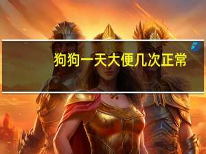 狗狗一天大便几次正常
