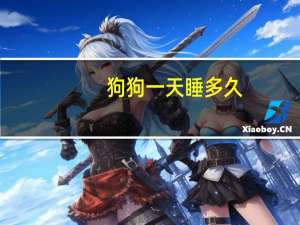 狗狗一天睡多久