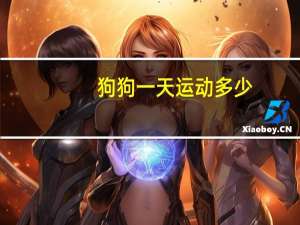 狗狗一天运动多少