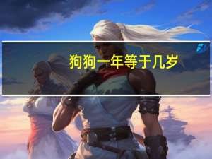 狗狗一年等于几岁