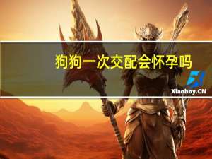 狗狗一次交配会怀孕吗