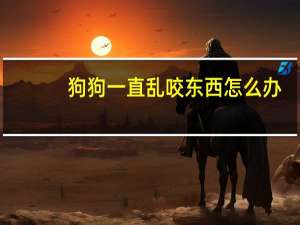 狗狗一直乱咬东西怎么办