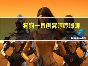 狗狗一直刨窝哼哼唧唧