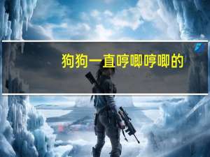 狗狗一直哼唧哼唧的