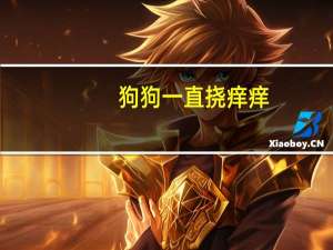 狗狗一直挠痒痒