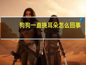 狗狗一直挠耳朵怎么回事
