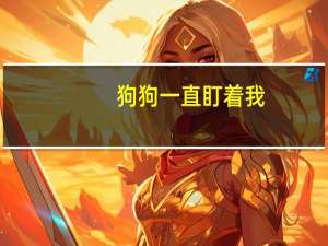 狗狗一直盯着我