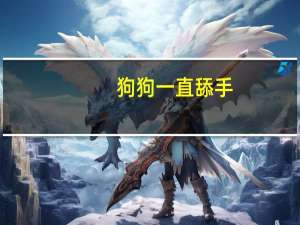 狗狗一直舔手