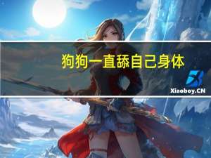 狗狗一直舔自己身体